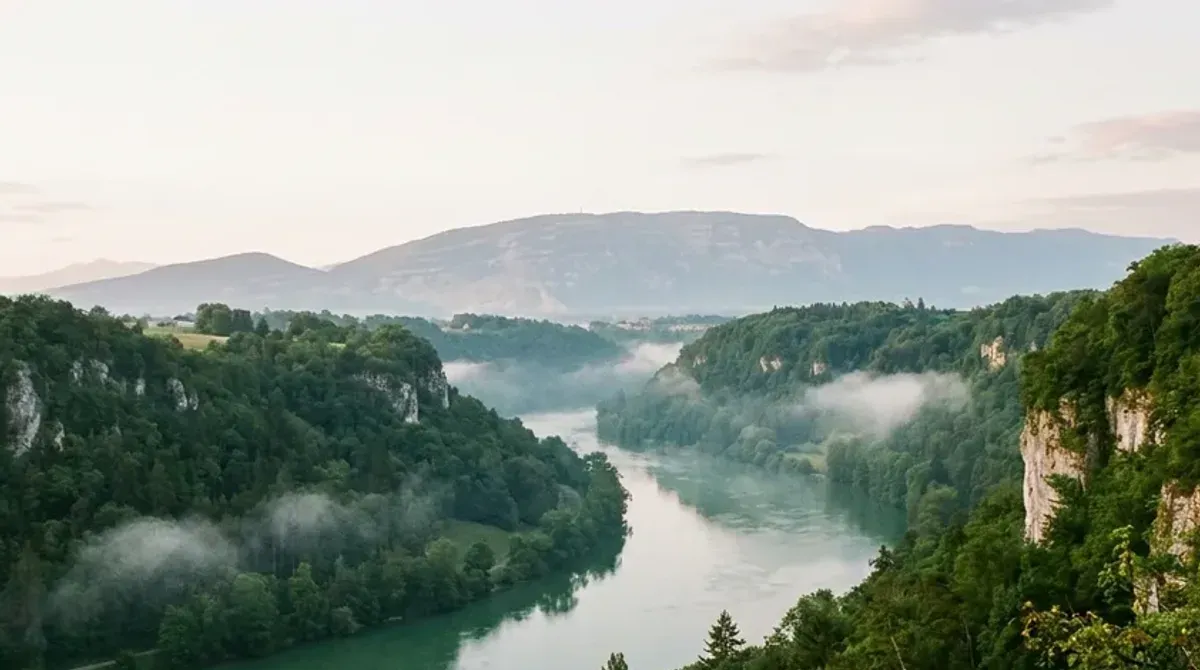 Le Rhône entre des rives boisées et des falaises dans la campagne genevoise, brume matinale et Salève au loin